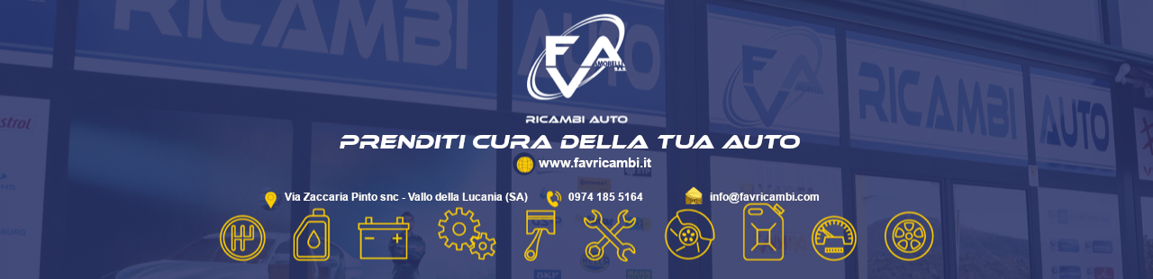 F.A.V. Ricambi Auto, prenditi cura della tua auto.